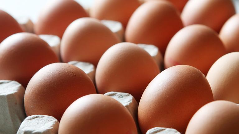 Hühnereier