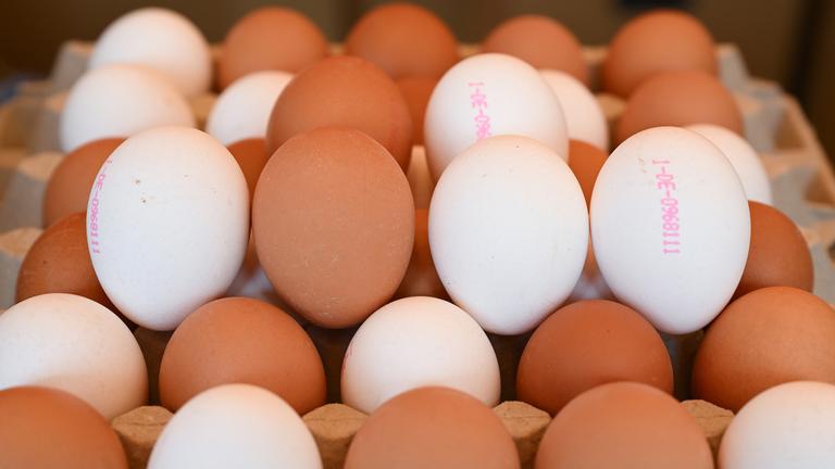 Frische weiße und braune Eier aus Freilandhaltung