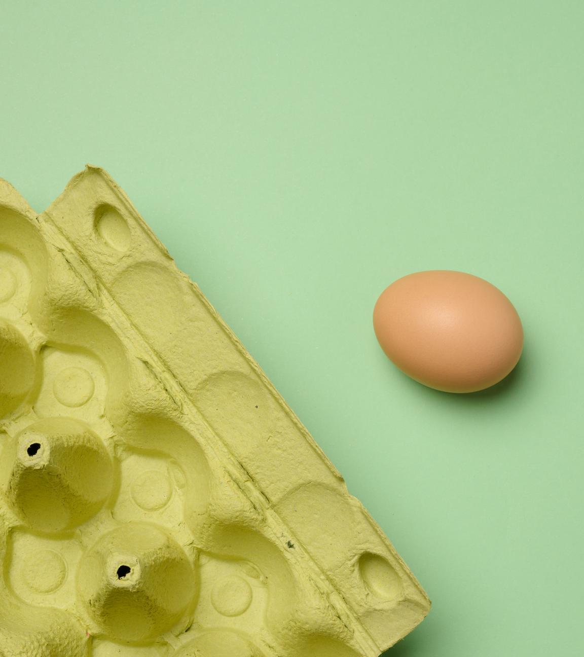 Hühnerei und Papieraufbewahrungsbox auf grünem Hintergrund.