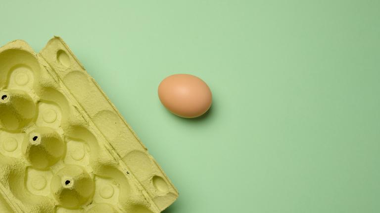 Hühnerei und Papieraufbewahrungsbox auf grünem Hintergrund.