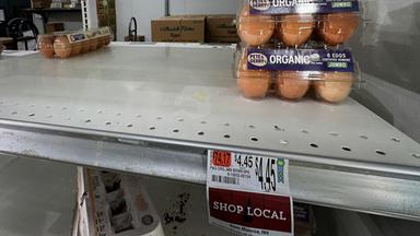 Eier stehen in einem Regal eines Lebensmittelgeschäfts zum Verkauf, in Windham, Maine