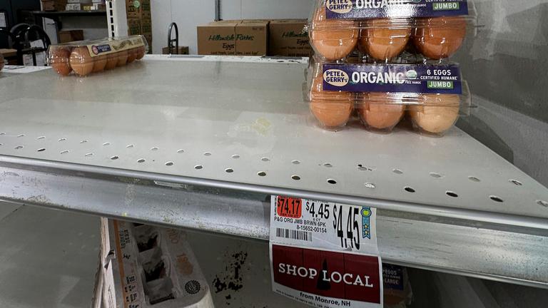 Eier stehen in einem Regal eines Lebensmittelgeschäfts zum Verkauf, in Windham, Maine