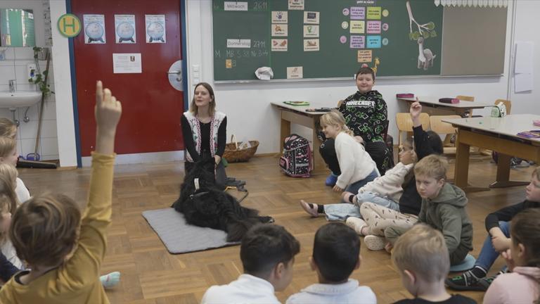 Ein Hund im Klassenzimmer