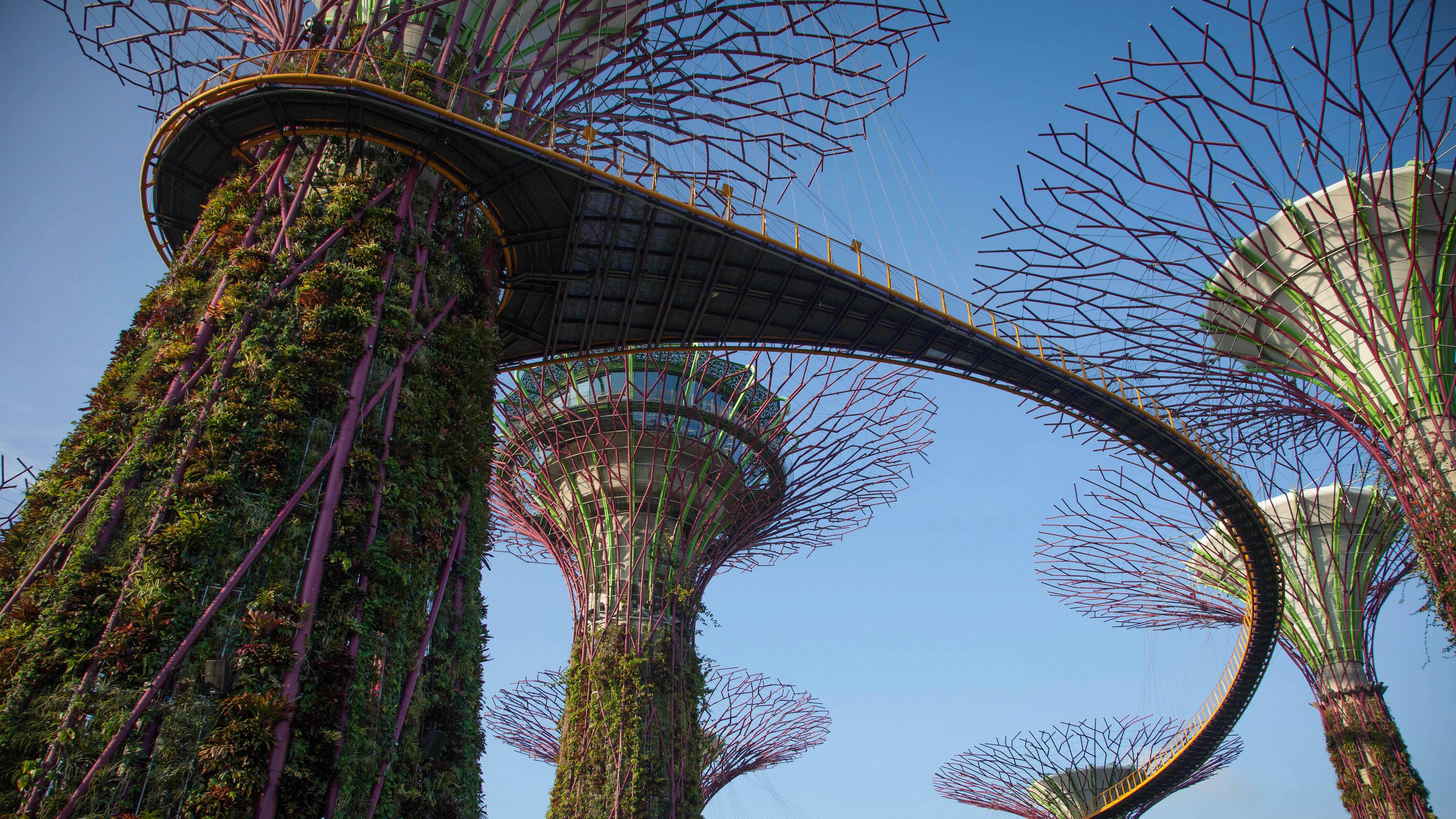 "Superbäume" in Singapur
