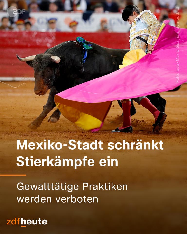 Mexiko-Stadt schränkt Stierkämpfe ein.