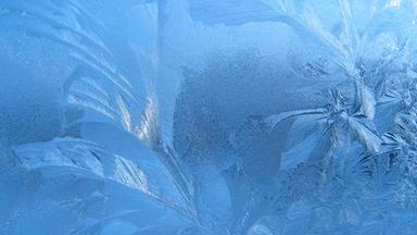Eisblumen