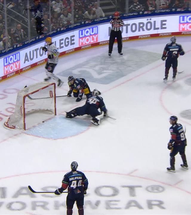 Eisbären unterliegen Fishtown Penguins