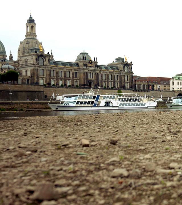 Niedrigwasser der Elbe in Dresden