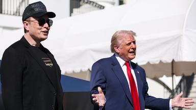 Elon Musk und Donald Trump