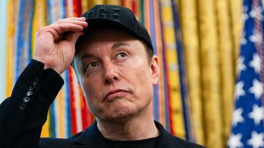 Elon Musk im Weißen Haus