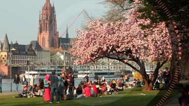 Endlich Frühling