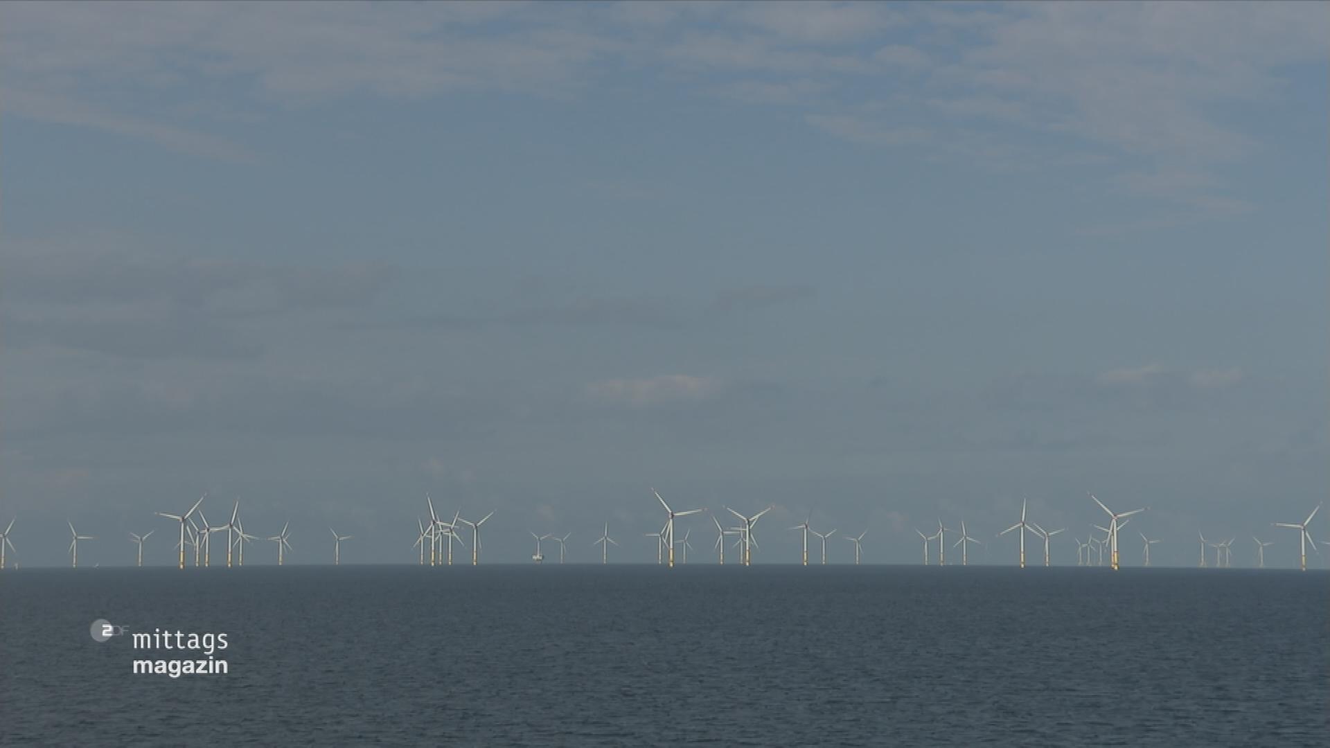 Windräder am Horizont