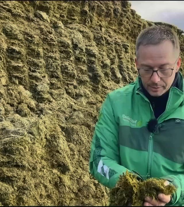 Landwirt steht vor riesigem Misthaufem, er hält Kuhmist in den Händen