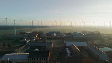 Energiewende: Wie Feldheim in Brandenburg weltbekannt wurde