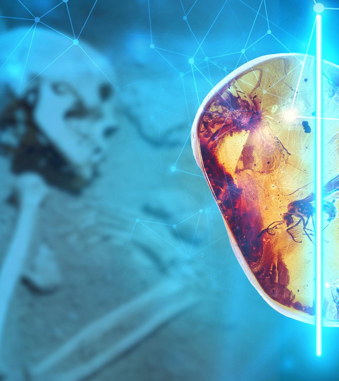 Entschlüsselt: Die Bernsteinstraße