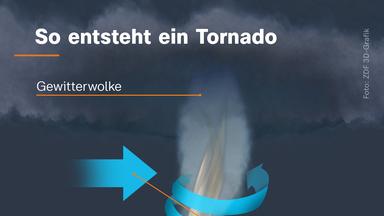 So entsteht ein Tornado: Der rotierende Aufwindschlauch, der vom Unterrand der Gewitterwolke bis zum Boden reicht, kann entstehen, wenn sich mit der Höhe der Wind stark ändert, wenn er an Stärke zunimmt und die Windrichtung sich ändert.