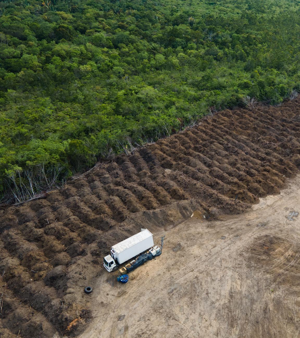 Brasilien, Porto Velho: Ein Lastwagen steht in einem abgeholzten Gebiet des Amazonas. Die EU geht mit einem neuen Gesetz gegen die Abholzung der Wälder vor.