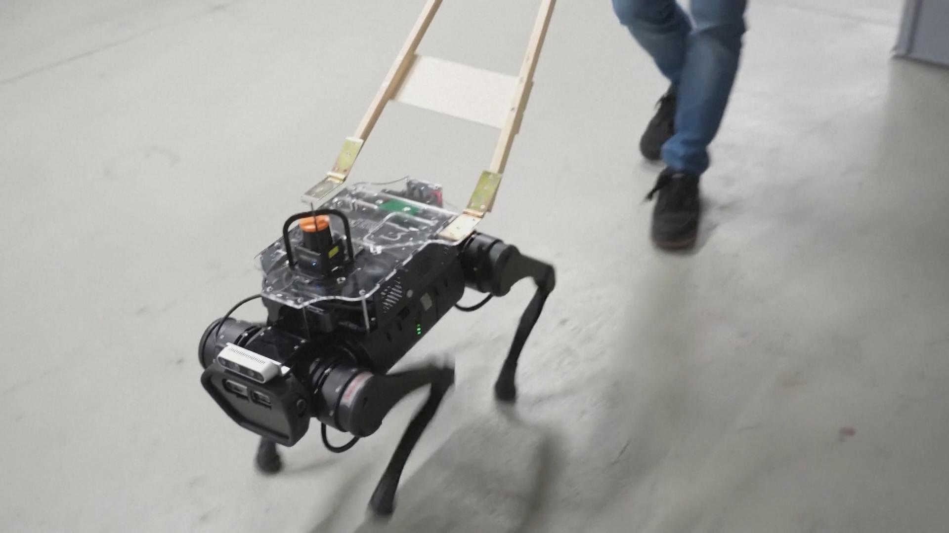 Entwicklung des „Robo-Dogs“ in der Schweiz