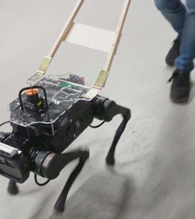Entwicklung des „Robo-Dogs“ in der Schweiz