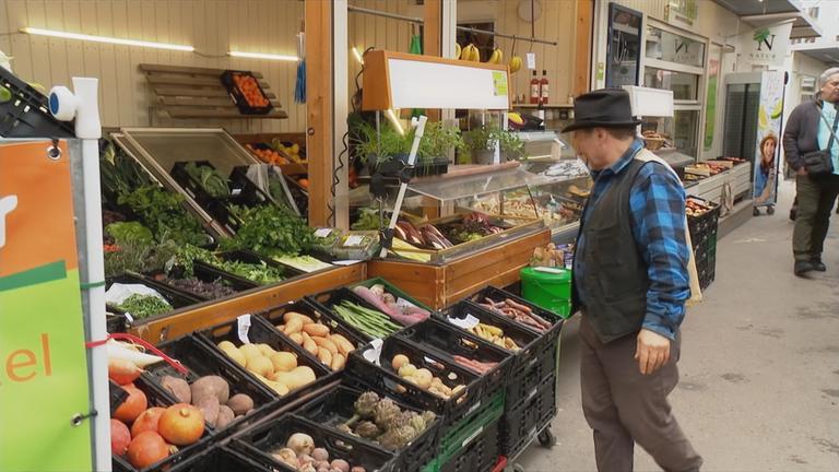 Entwicklung Bio-Branche