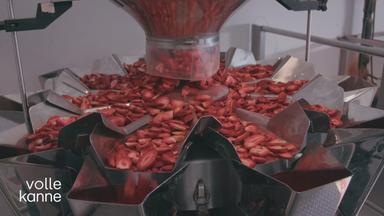 Erdbeerchips laufen durch Produktionsanlage