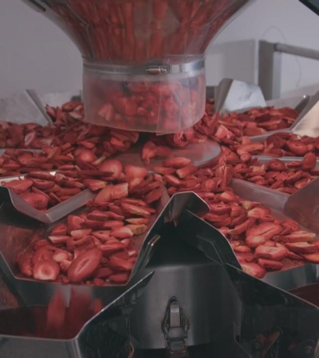 Erdbeerchips laufen durch Produktionsanlage
