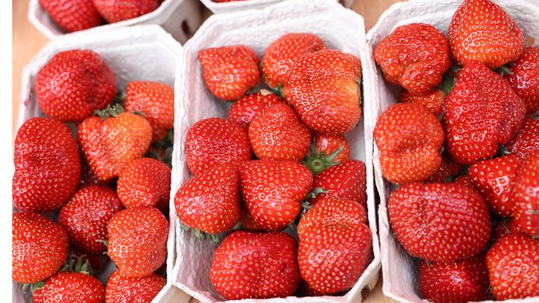 Erdbeer-Rezepte: mal süß, mal herzhaft