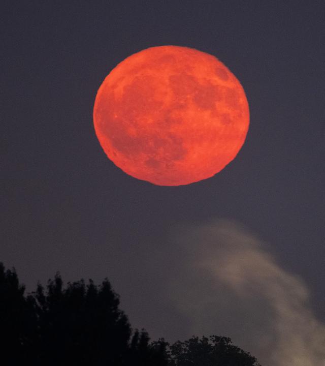 Der Erdbeermond geht über der Dresdner Innenstadt auf