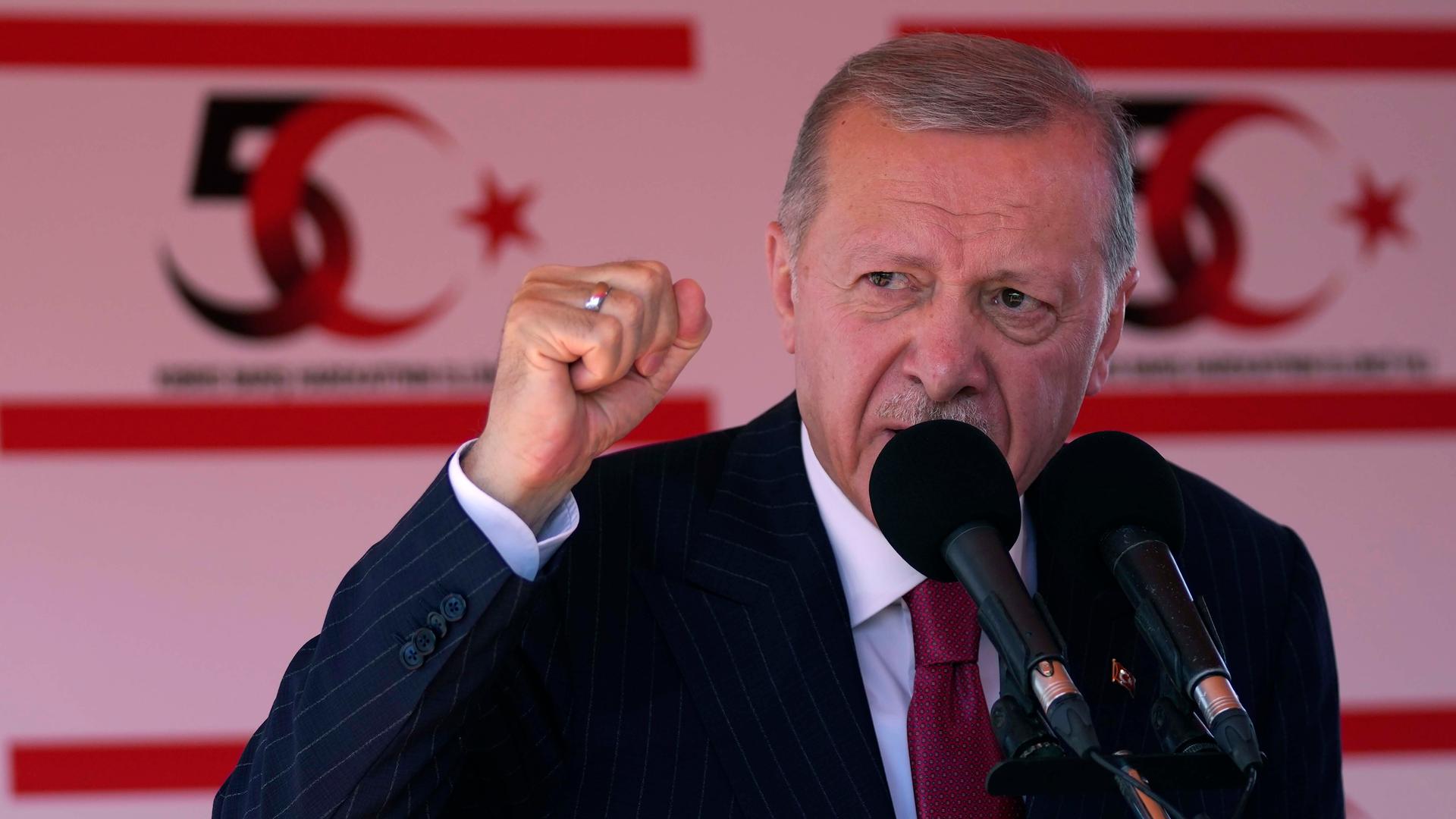 Erdogan beim 50. Jahrestag der türkischen Militär-Invention in Zypern.