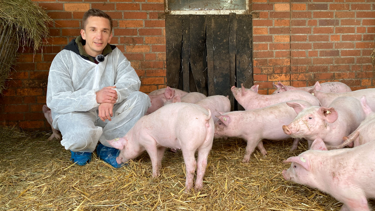Eric im Schweinestall zwischen Schweinen