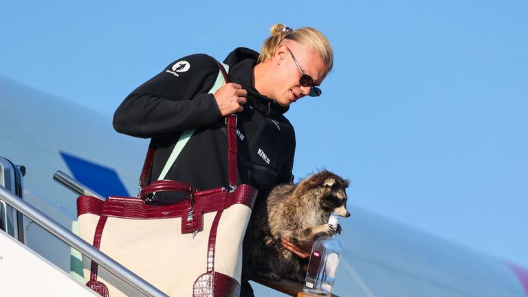 Erling Haaland mit Waschbär