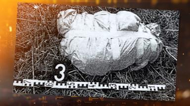 Ein zugeschnürtes Paket liegt auf einer Wiese.