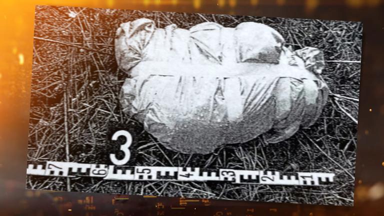 Ein zugeschnürtes Paket liegt auf einer Wiese.