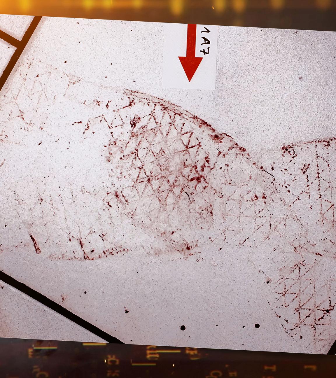 Auf dem Foto sieht man einen gefliesten Boden. Die Fliesen sind viereckig und weiss. Die Fugen sind grau. Am rechten Bildrand ist ein schwarzes Lineal der Spurensicherung zu erkennen. Die Zentimeterangaben und die Millimeterstriche darauf sind weis. Es ist insgesamt 20 Zentimeter lang, beinahe so wie eine einzelne Fliese. Im Zentrum des Fotos sieht man mehrere blutige Schuhabdrücke. Sie wurden offenbar vom Täter hinterlassen, nachdem er sein Opfer erstochen hat. Die Sohle der Schuhe weist zahllose kleine Rauten auf. Das Muster zieht sich über die gesamte Unterseite des Schuhs.  
