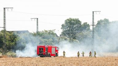 10.07.2026, Nordrhein-Westfalen, Langenfeld: Feuerwehrleute bei Löscharbeiten an einer Bahnstrecke.