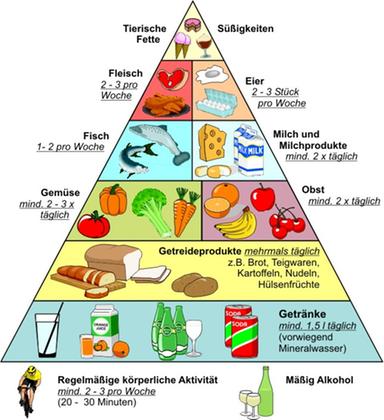 Ernährungspyramide der DGE