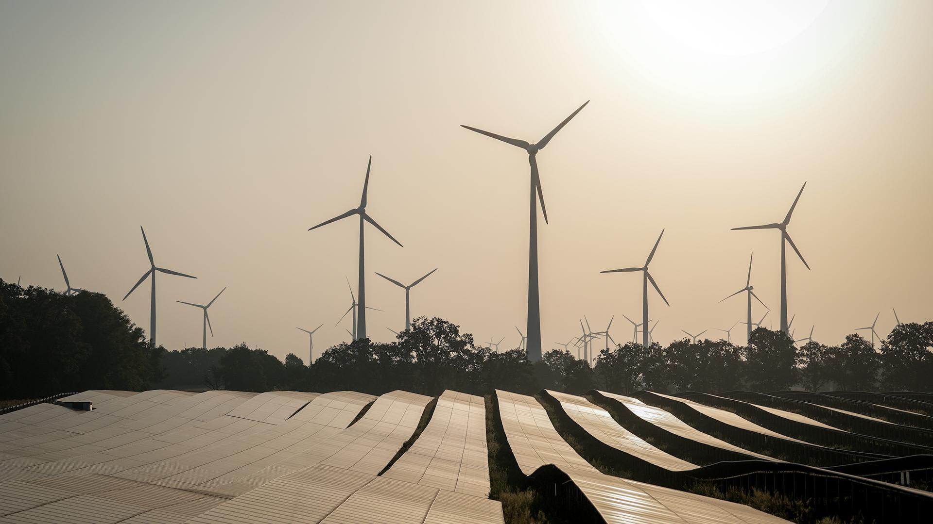 Erneuerbare Energien: Solarfeld reflektiert vor Windkraftanlagen die Sonnenstrahlen