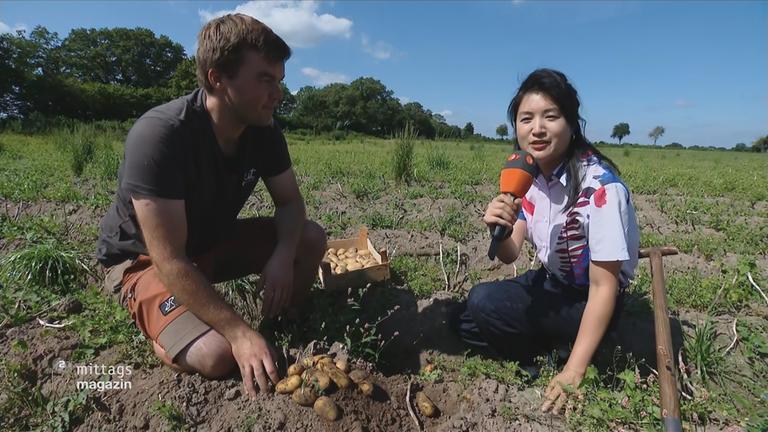 ZDF Reporterin kniet im Kartoffelfeld