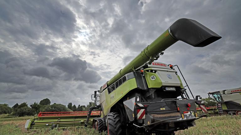  Mähdrescher stehen auf einem abgeernteten Rapsfeld. Der Himmel ist wolkenverhangen