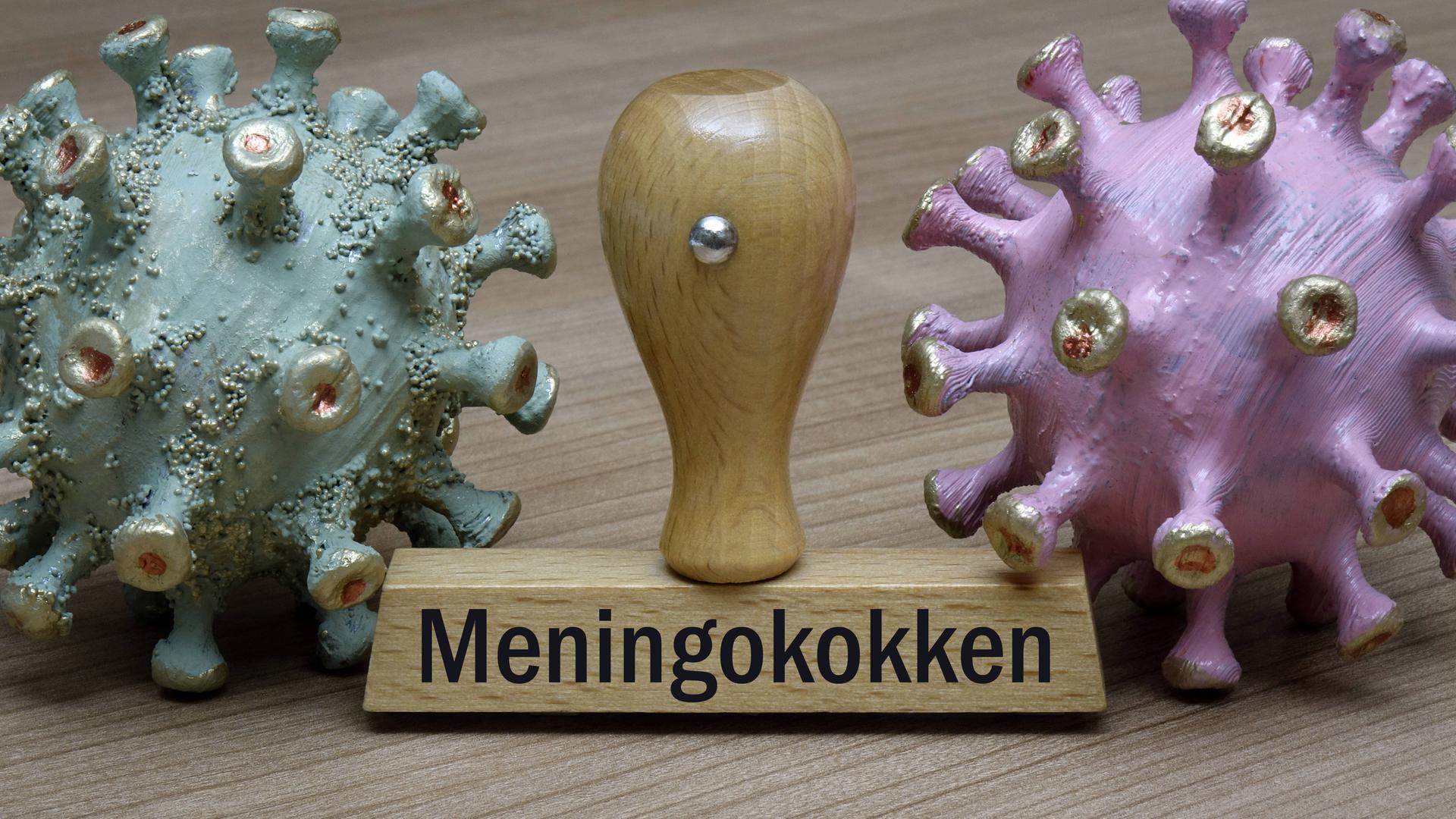 Auf einem Tisch steht ein brauner Stempel mit der Aufschrift Meningikokken. Daneben ist das Virus als grafisches Modell abgebildet.