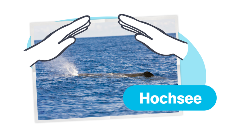 Schützende Hände über einem Bild vom Meer 