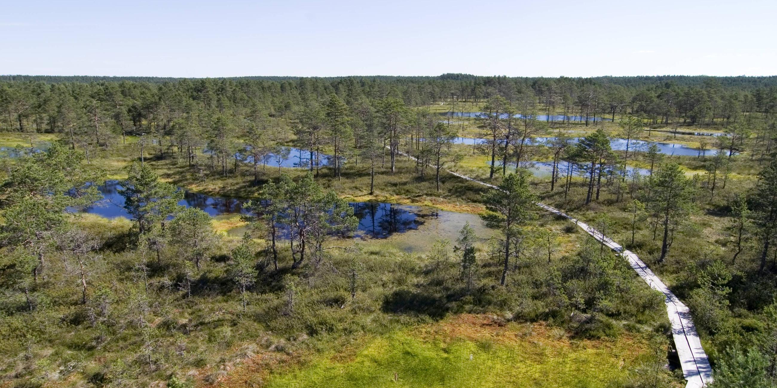 Die Moorlandschaft im Lahemaa Nationalpark in Estland von oben.