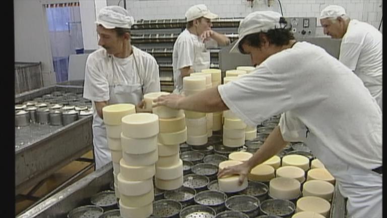 EU: Chance oder Herausforderung