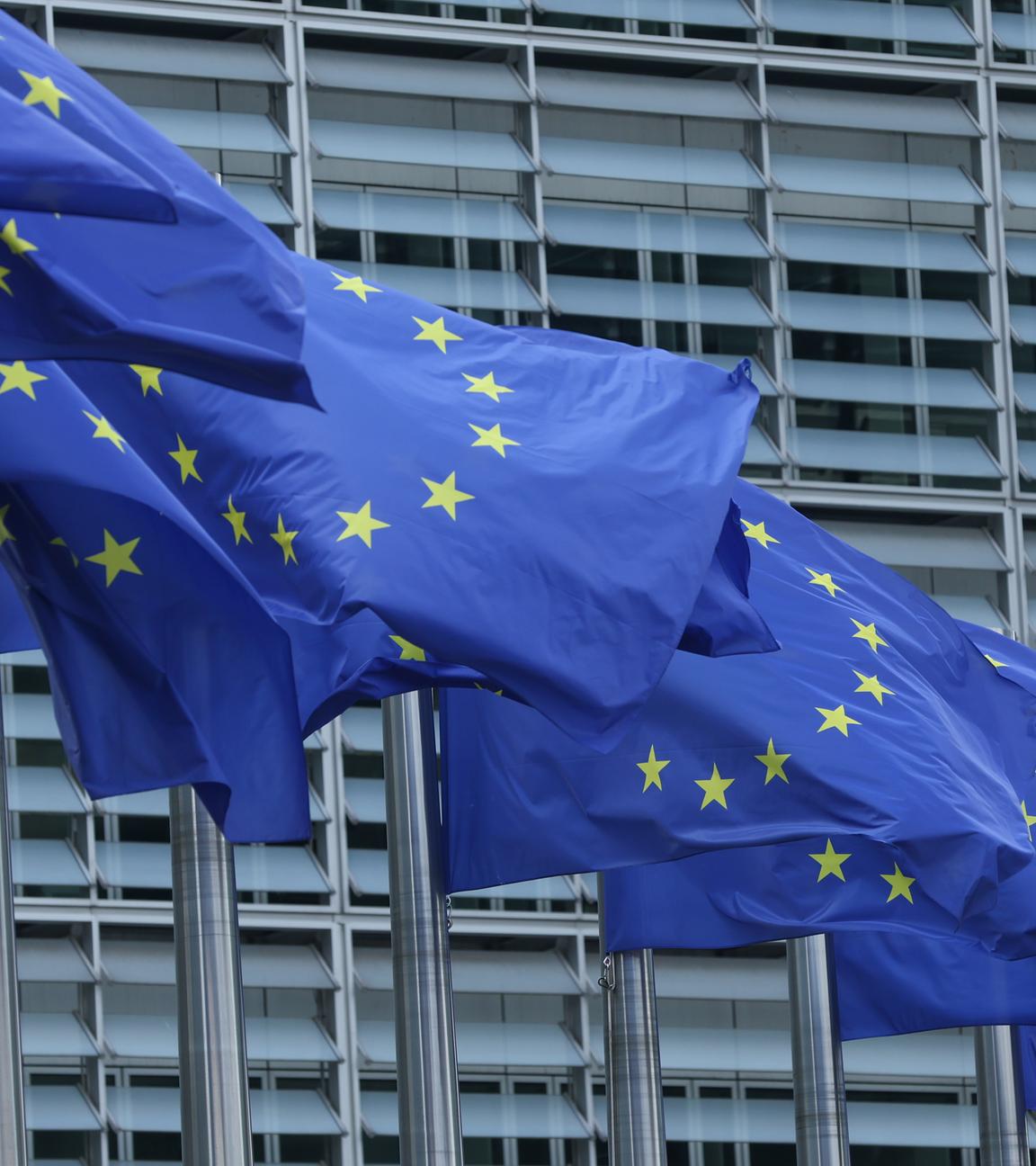 Flaggen der Europäischen Union