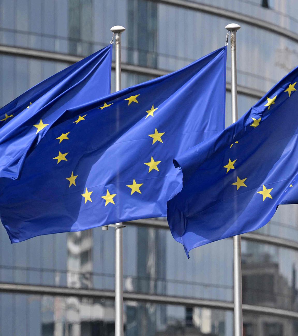 EU-Flaggen in Brüssel  