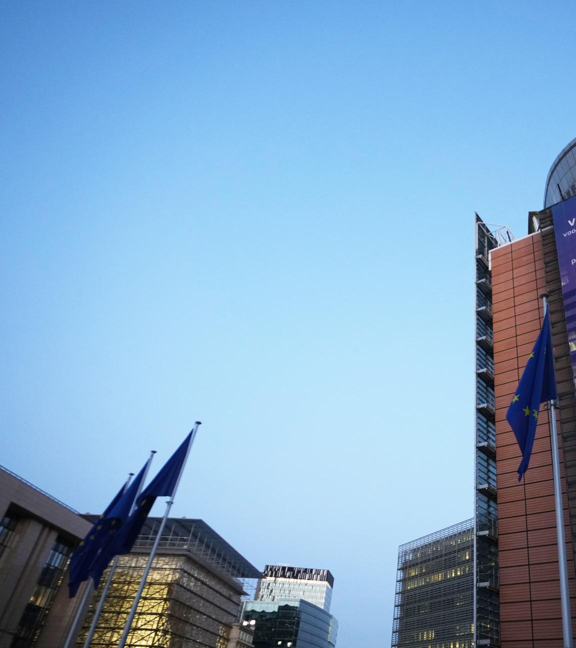  Die Flaggen der Europäischen Union flattern im Wind vor dem EU-Hauptquartier während des EU-Gipfels.
