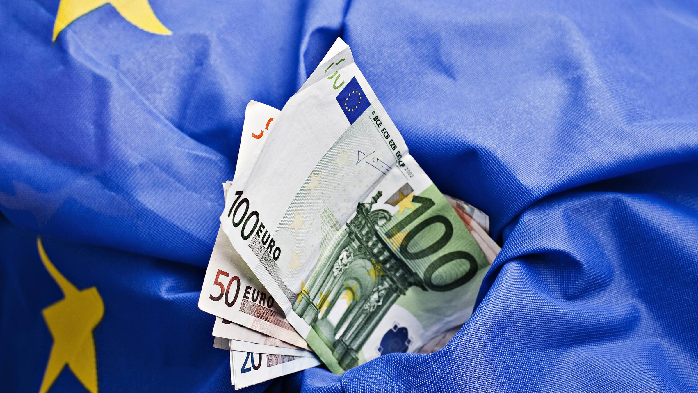 EU-Flagge und Euroscheine
