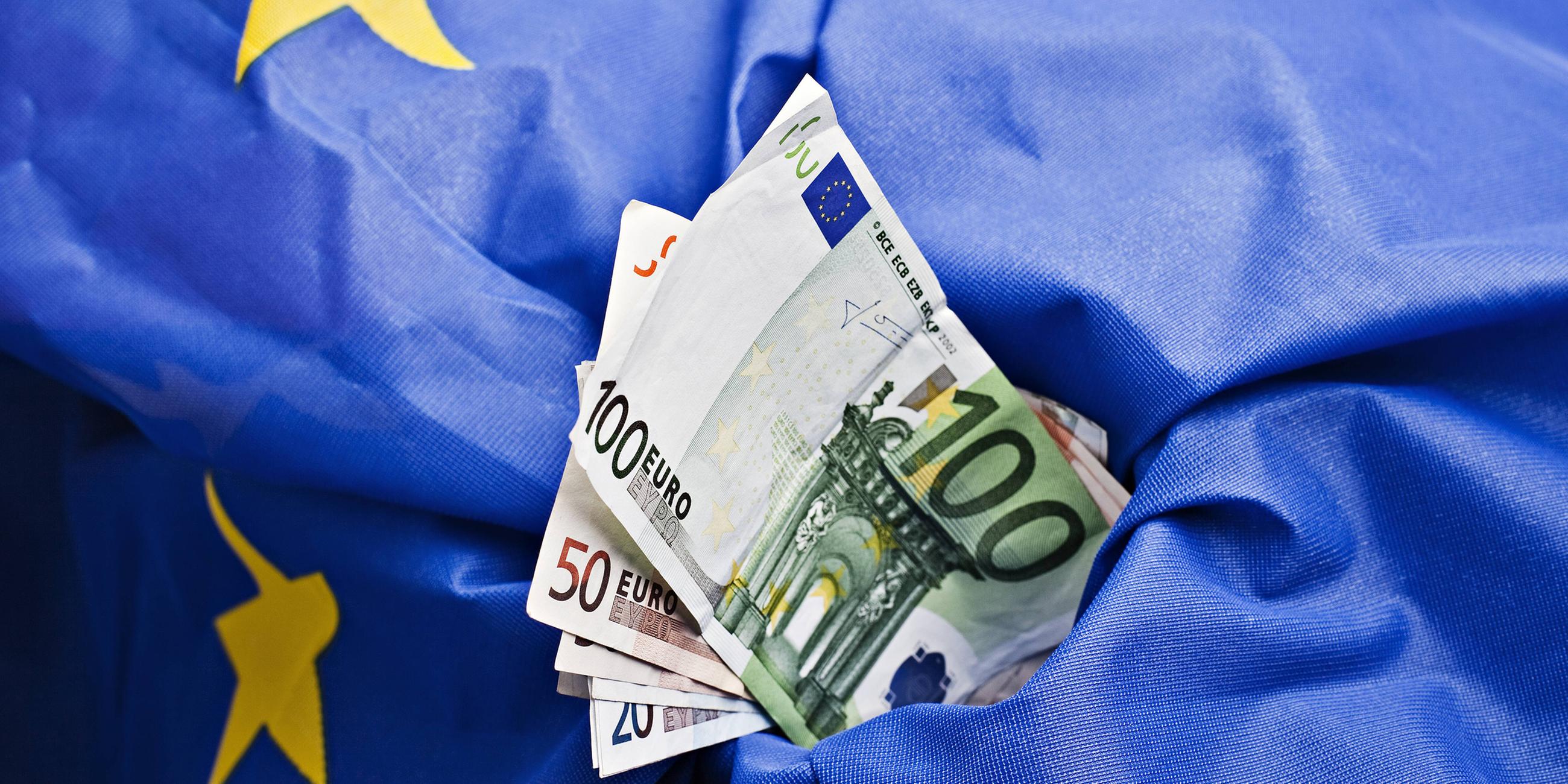 EU-Flagge und Euroscheine
