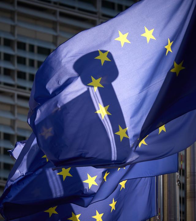 Wehende europäische Fahnen, Brüssel, August 2025