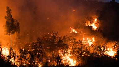 Waldbrand in Spanien mit brennenden Bäumen